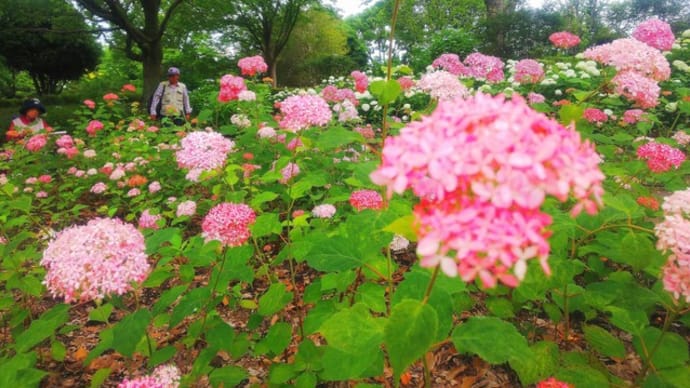 雨のステイション