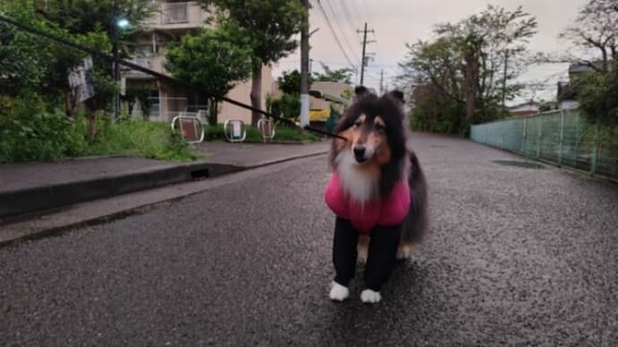 感動ものです👍