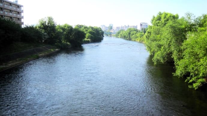 今朝の北上川 @館坂橋