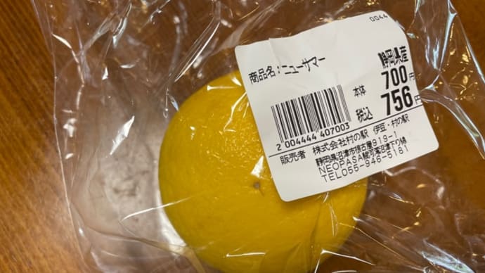 ニューサマーオレンジ