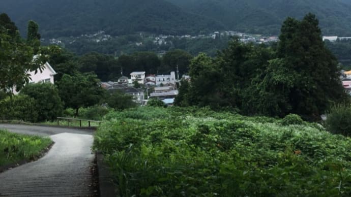 独断と偏見