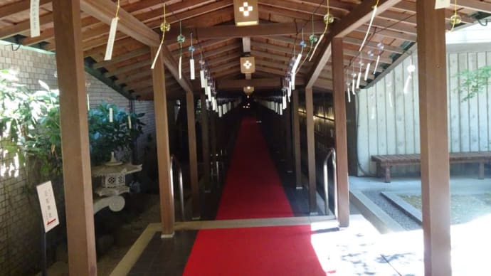 2023年:百年風鈴回廊(乃木神社)!通るだけで何か涼しげな持ちになります!!