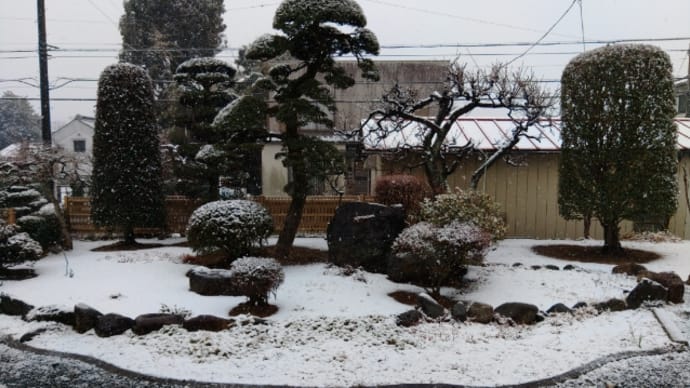最高(^o^)