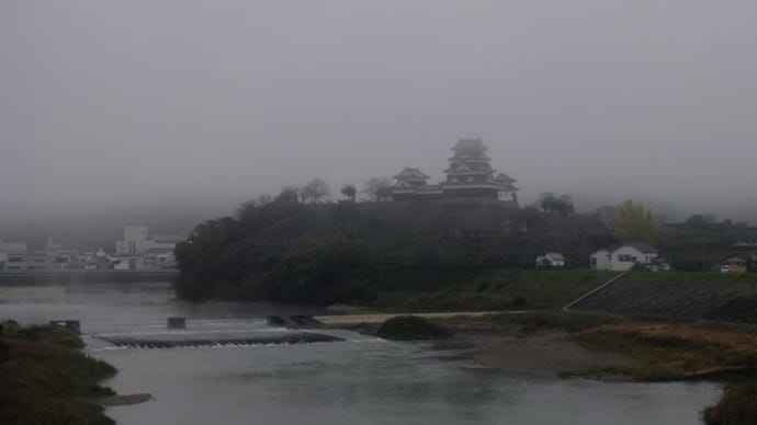朝靄の大洲城　朝🍡🍡☕