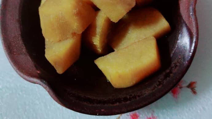 素人 介護飯 てこちゃん専用入れ歯ごはん