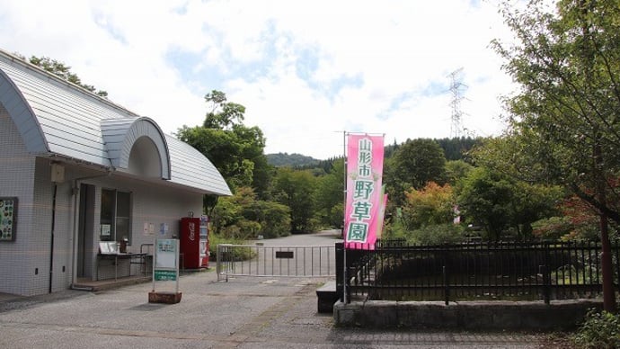 山形市野草園