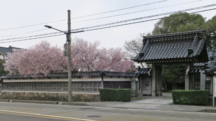 ◇春の寺町-①長久寺、妙典寺、本長寺、妙立寺(忍者寺)