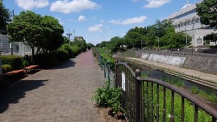 2022神奈川河川ポタリング『和泉川』⑦いずみ中央駅&地蔵原の水辺