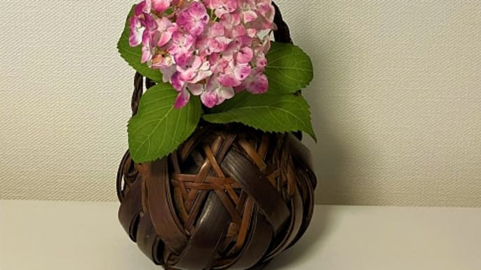 稽古の花・夏越の祓