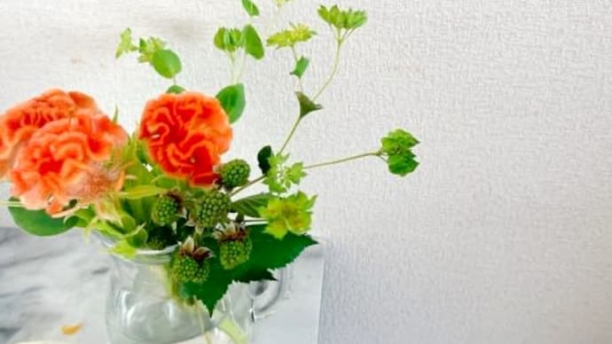 50代、ケルヒャーでお掃除(^-^)=階段踏み外した💦=【休日の事】