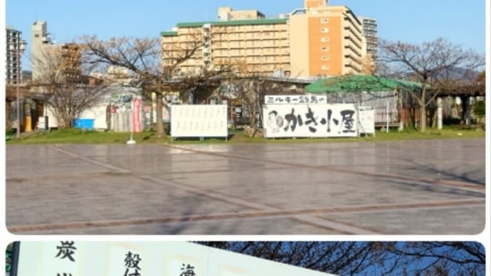 孫と広島2人旅(5)ミルキー鉄男のかき小屋（宇品店）