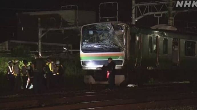 神奈川の国鉄東海道本線で近郊形電車に垂れ下がった架線と倒れた電柱が打つかる