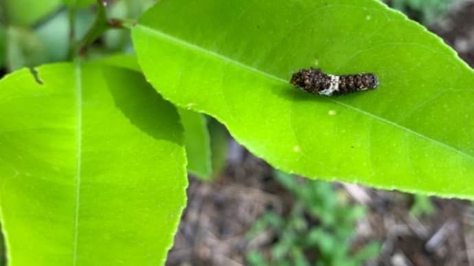 週末こちらでお待ちしています。龍ヶ崎、南浦和