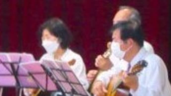 訪問演奏