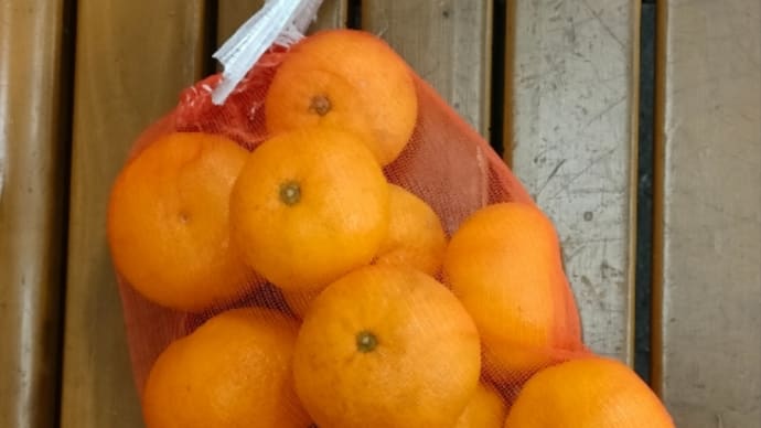 みかんでホッコリ
