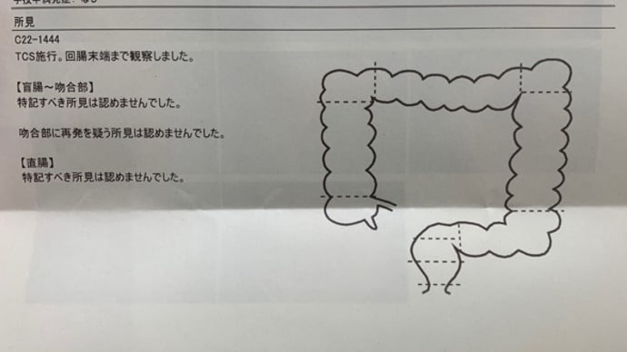 先週の火曜日