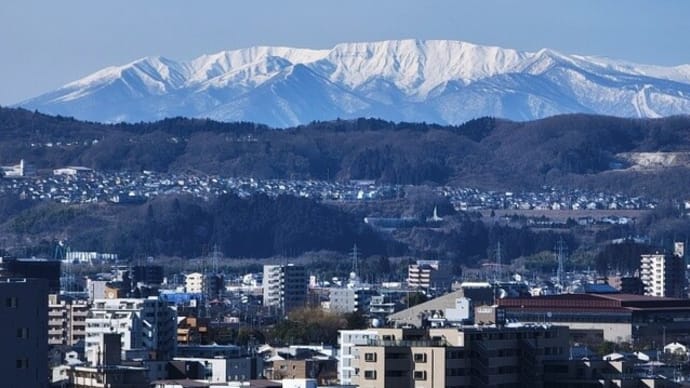 笠庵の恵方巻