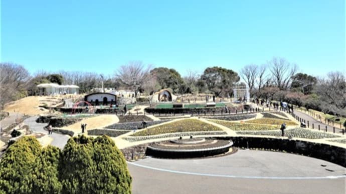 東山植物園【お花畑】リニューアルオープン(3月23日)