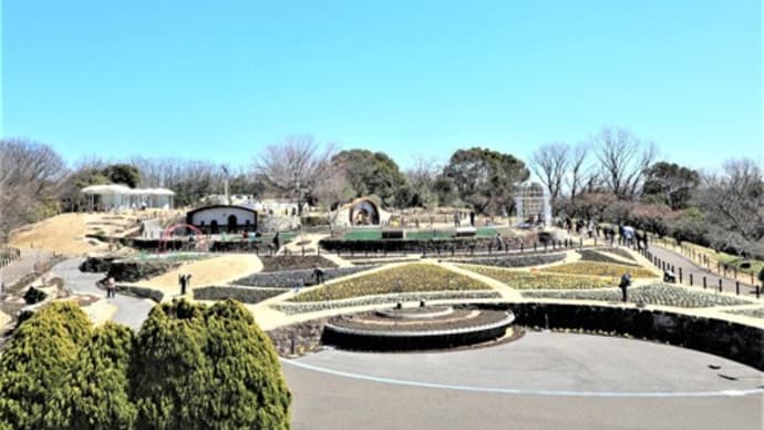 東山植物園【お花畑】リニューアルオープン（3月23日）