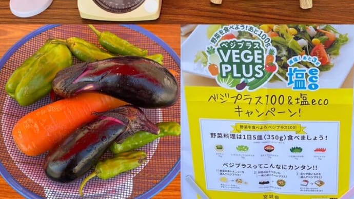 10月5日に決定!野菜の日イベント「お野菜縁日」開催のお知らせ