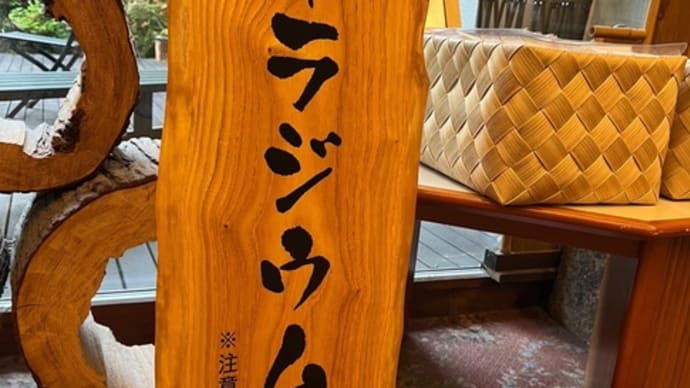 新潟『ラジウム温泉&彌彦神社』