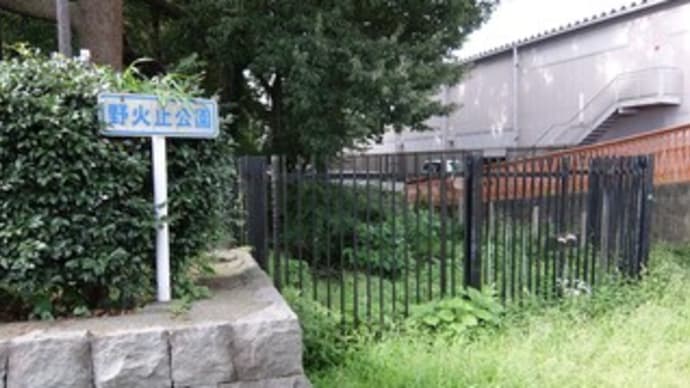 2024埼玉河川ポタリング『野火止用水』③野火止公園~伊豆殿橋