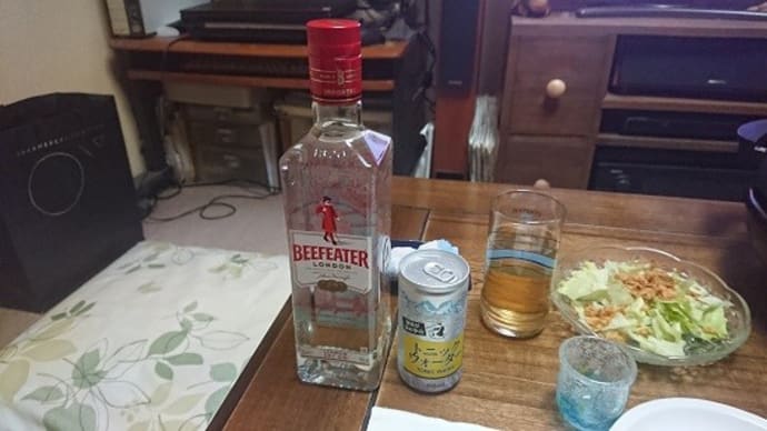 ジントニックとフライシート