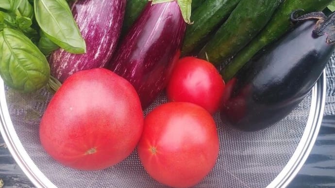 夏野菜の苗の予約をしました。