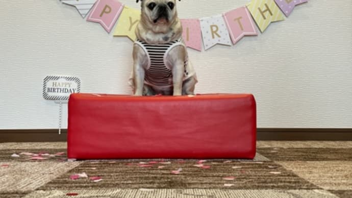 14歳のお誕生日
