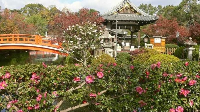 京都紅葉:神泉苑から佛光寺!