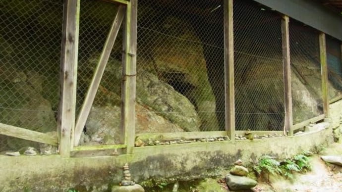 2024年11月27日(水)の「滝坂の道」と「春日大社・東大寺」(5)