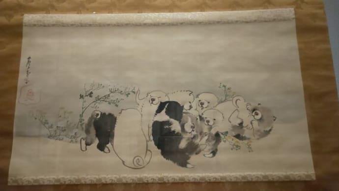 犬派です 超絶可愛い