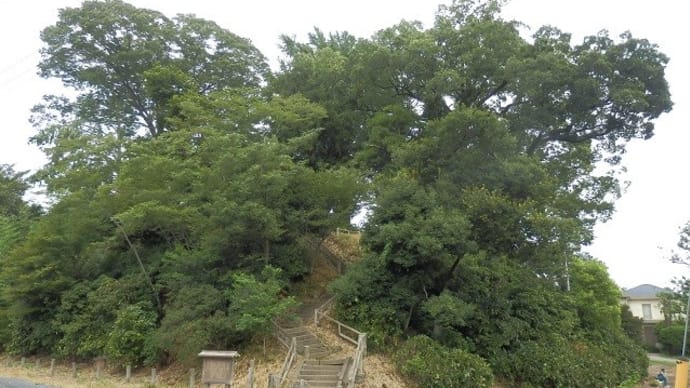 川越城富士見櫓跡の石段はまだ不通