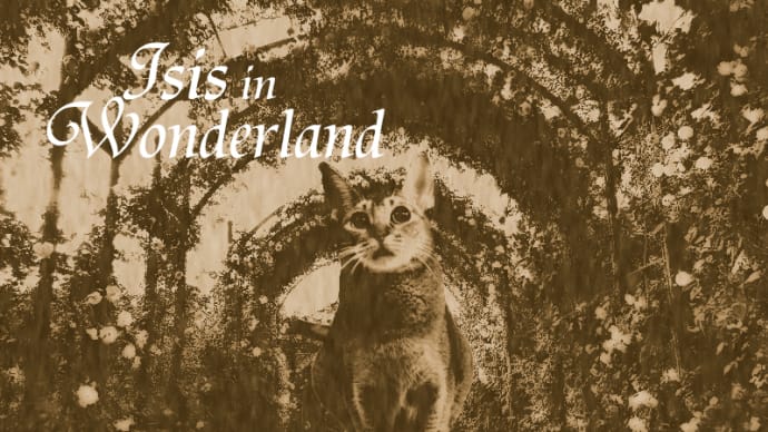 Isis　in  Wonderland?