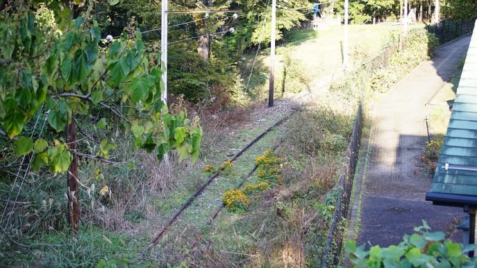 秩父鉄道 創立120周年サンクスフェスタ (その3)三峰口の奥の廃線跡、NRAで帰る。