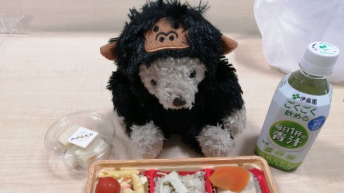 ４日目は昼からお仕事