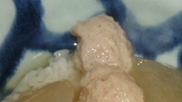 11月26日 冬瓜と鶏つくねの あんかけごはん