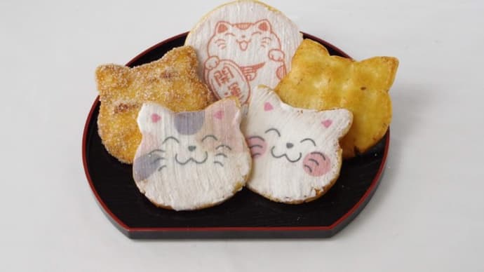 猫せんべい・にゃんべいを撮影してみてた