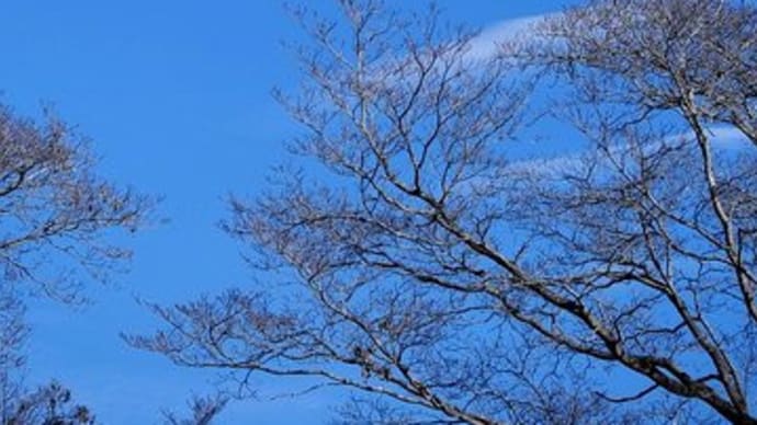 波状雲