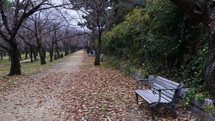 冬枯れ風景とマサキの赤い種子~浜寺公園