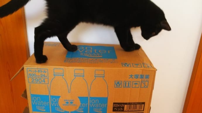 今シーズン4度目の・・・