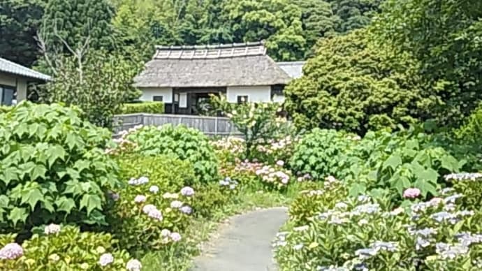 思い出フォト 126 2016年 6月 御前崎市巡り