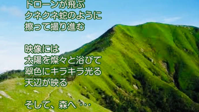 緑 / ラグの写真詩