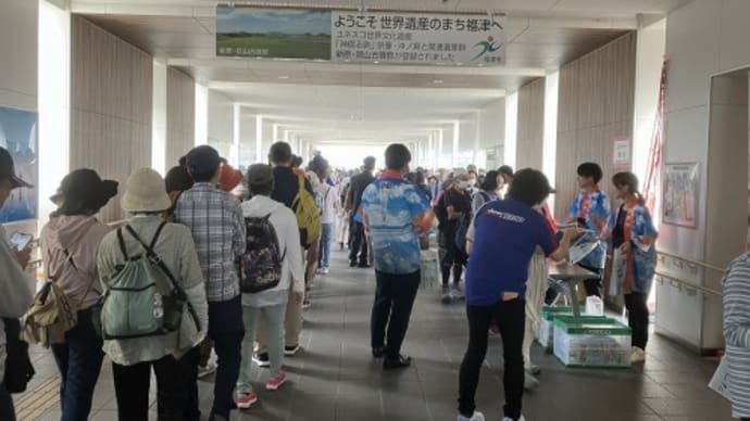 秋の松林と宮地嶽神社を巡る