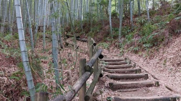 明日香村周遊 その③ 最終回