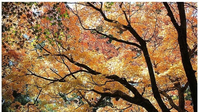 長野・松代旅行の写真