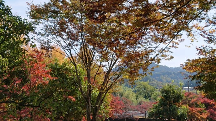 紅葉が少しづつ　♬秋止符（アリス）