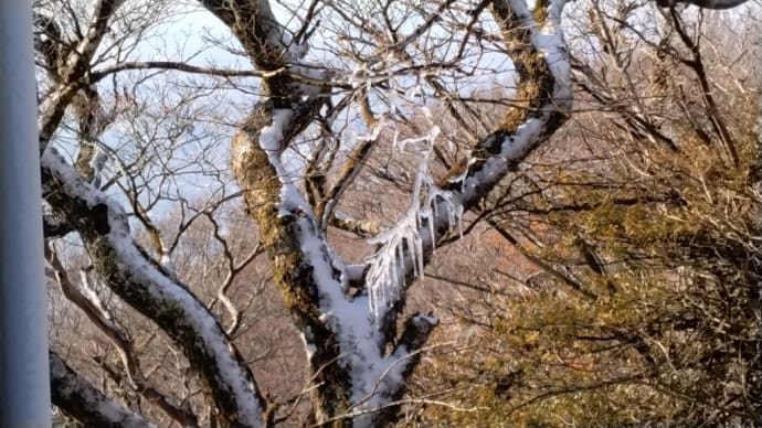 冬山登山??