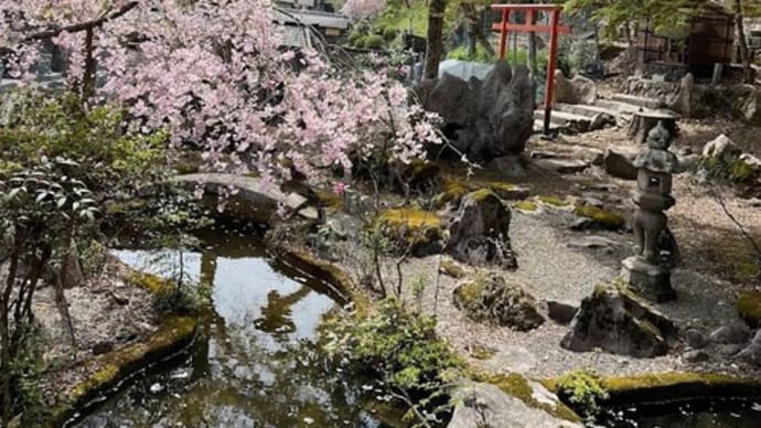 春うららかに…