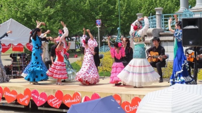 フラメンコ(Flamenco)🎶